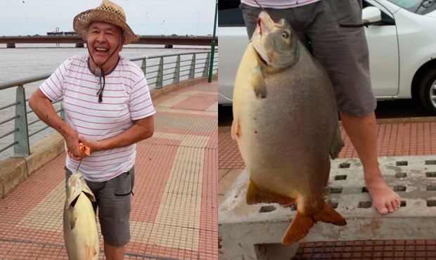 Pescó un Pacú de 29 kilos pero no tendrá récord mundial