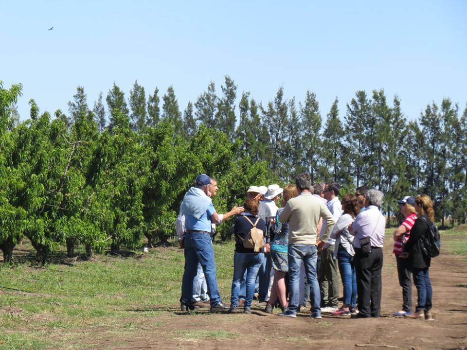 Conocimientos sin fronteras en frutales de carozo