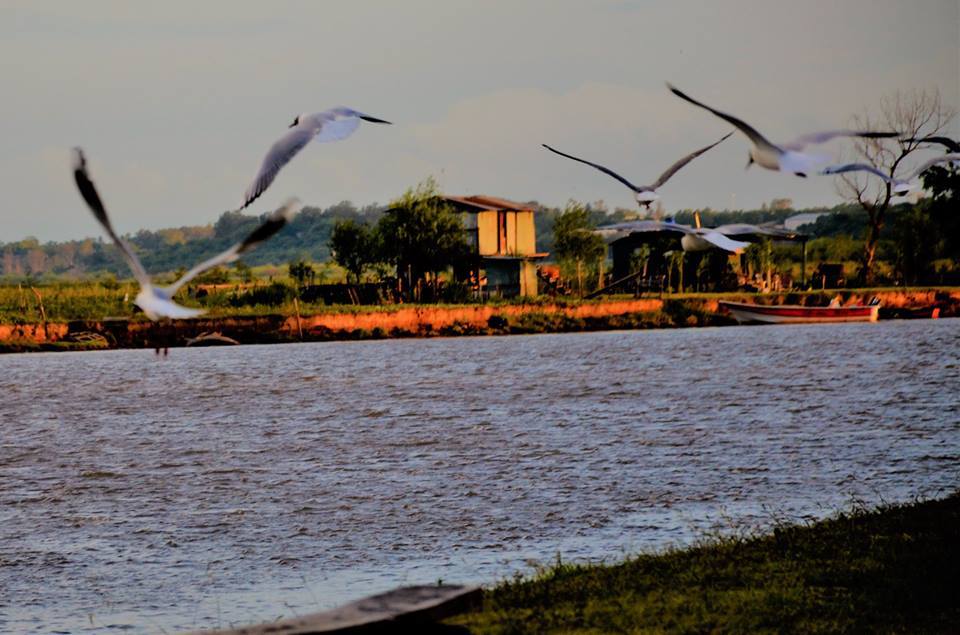 Foto del día