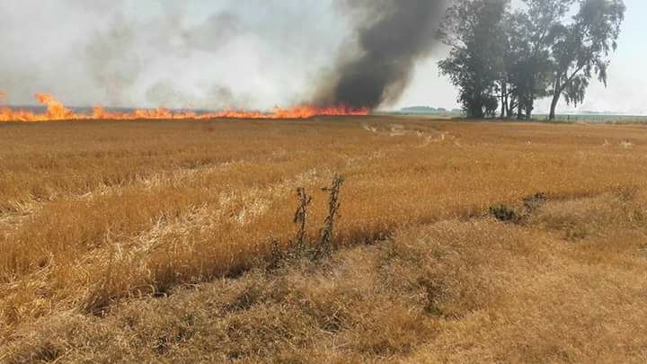Información de bomberos