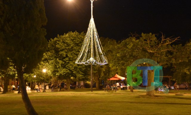 En la Plaza Colón. Quedó listo el arbolito de Navidad