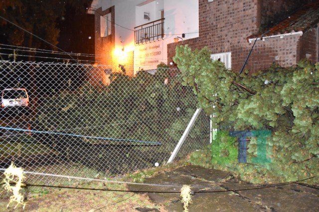Tormenta en Baradero: provocó corte general de luz, caída de árboles y tapiales