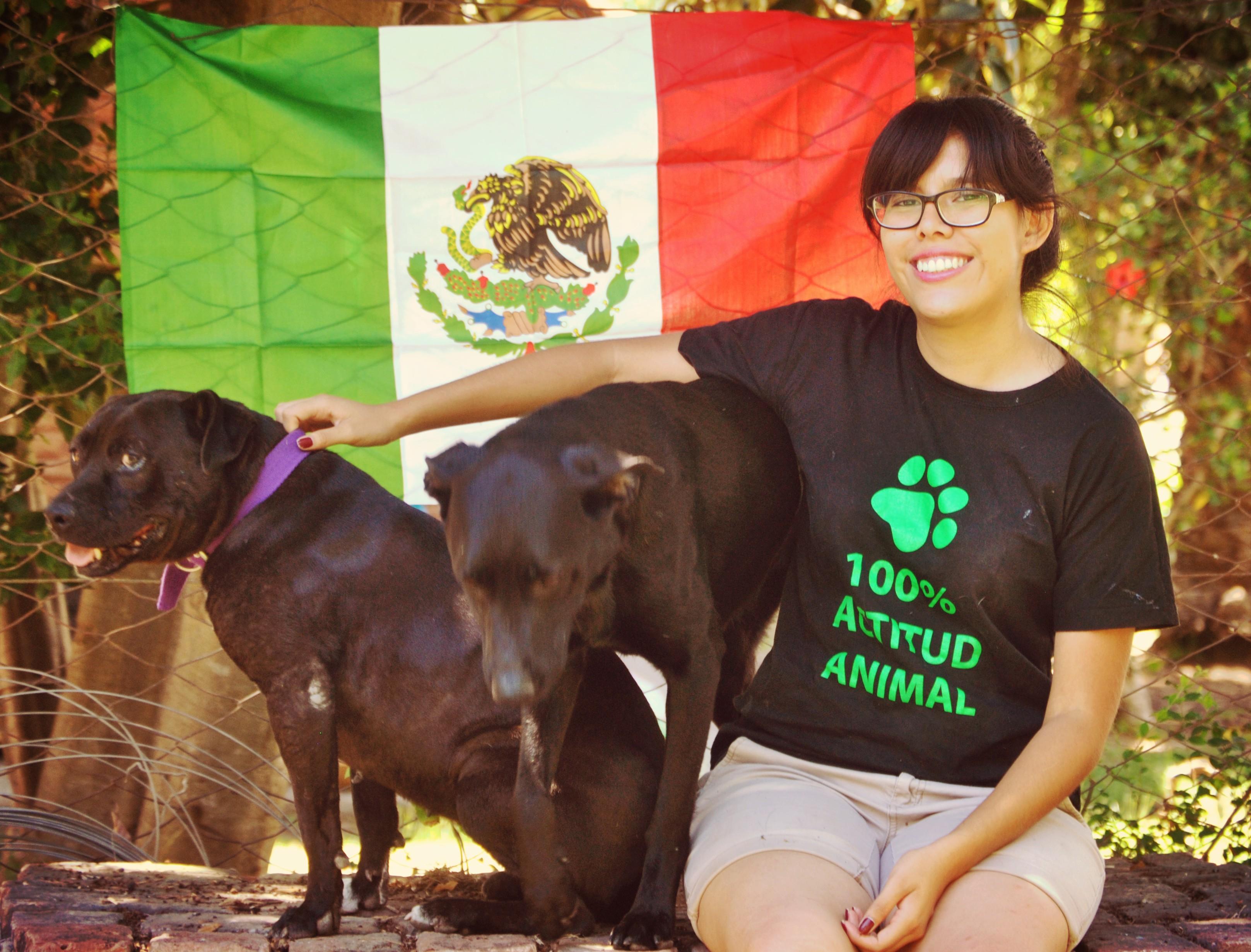 Voluntarios del exterior en Actitud Animal