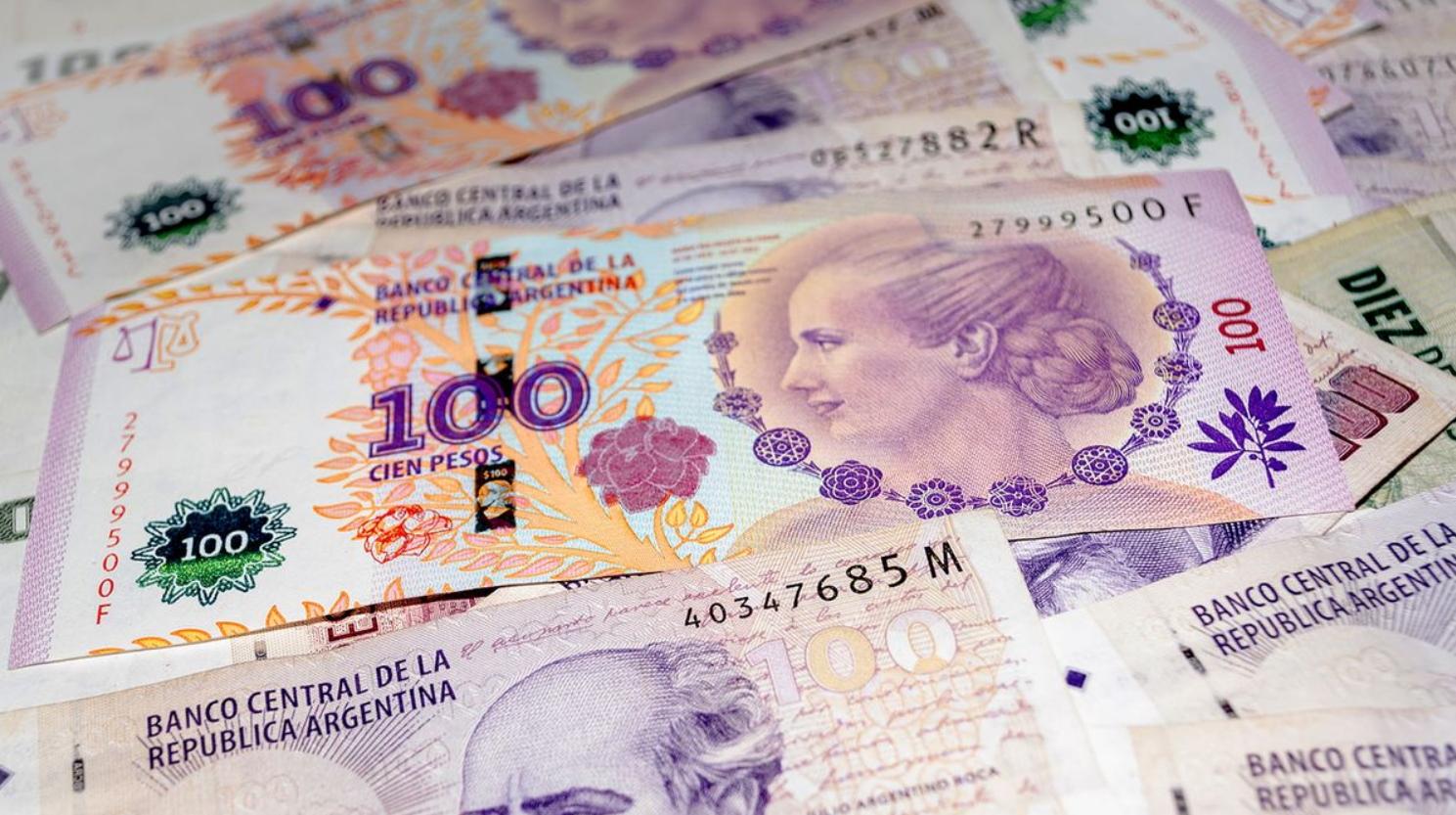 Qué animales eligió el BCRA para reemplazar los billetes de 50 y 100 pesos en 2018