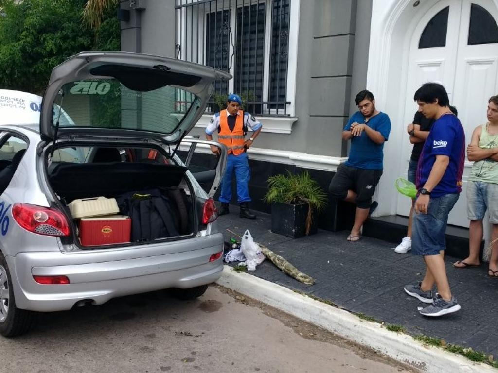 Aprehenden a promotores con drogas en su poder