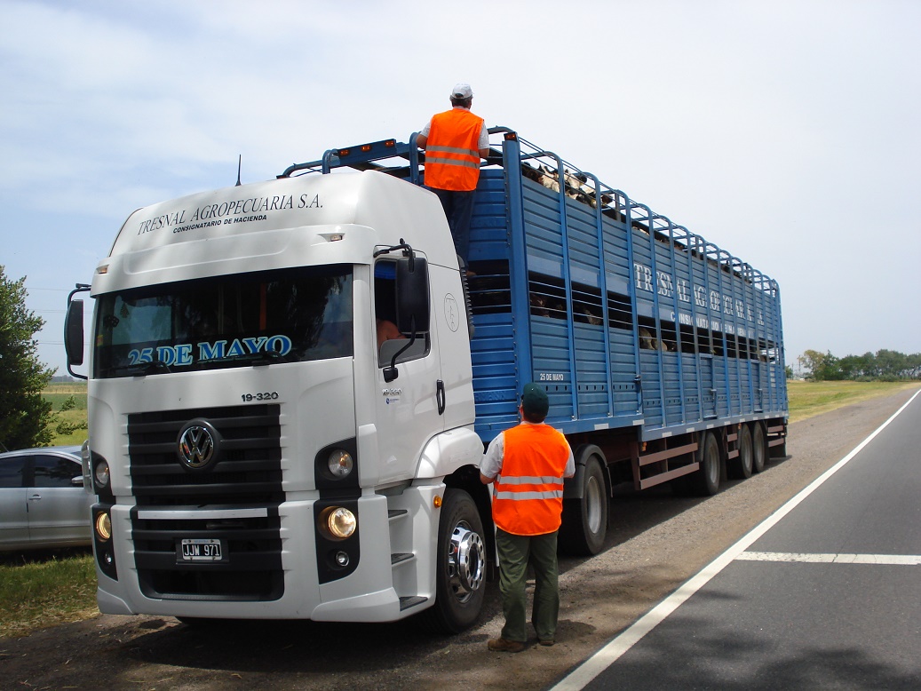 Durante 2017 el Senasa controló la carga de más de 4.600 transportes en su jurisdicción del norte bonaerense