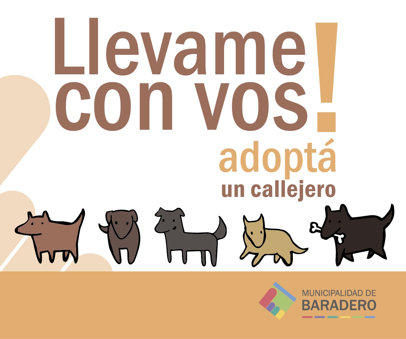 Campaña de adopción y esterilización de mascotas