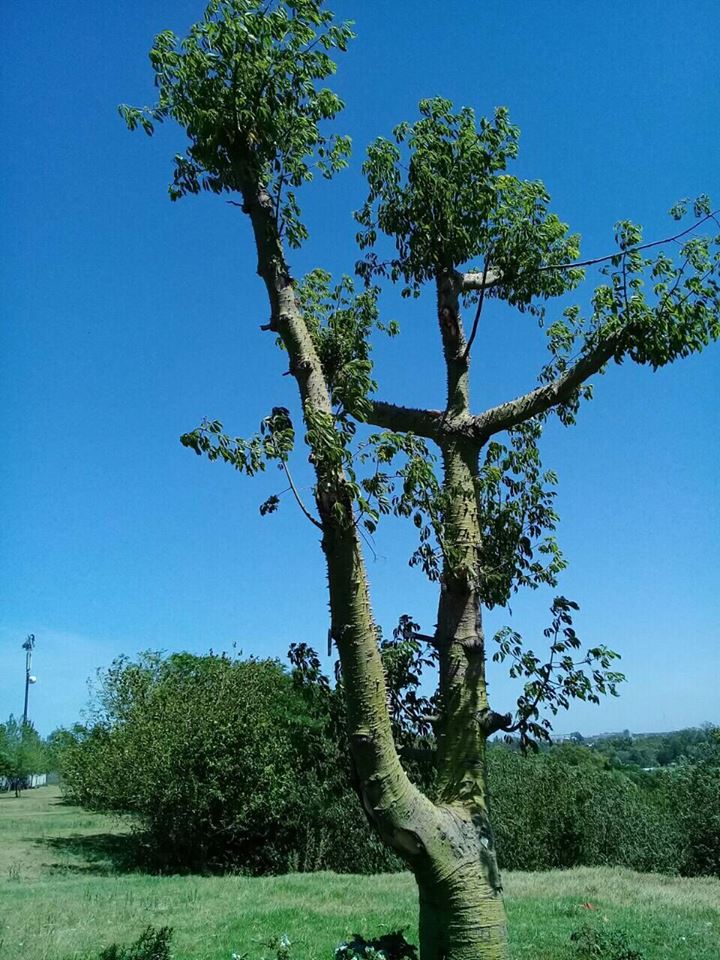 Progreso y conservación