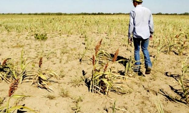 La sequía no da tregua y golpea al territorio bonaerense