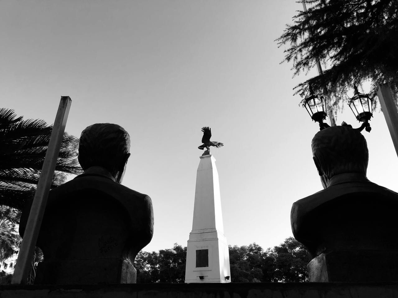 Foto del día