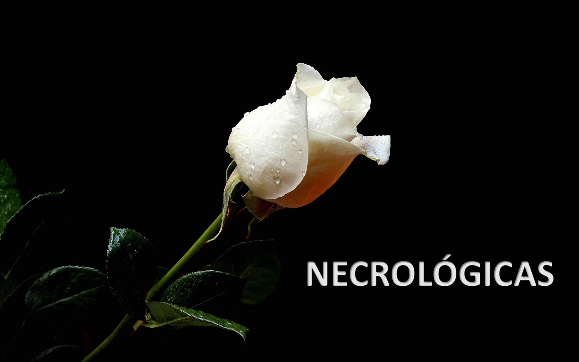 Necrológica