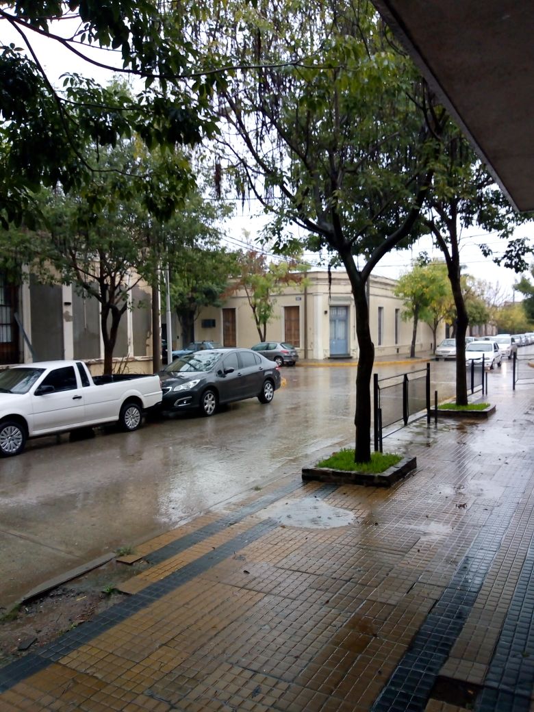 Foto Del Día