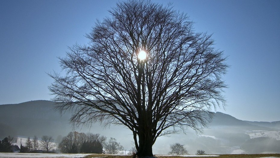 Solsticio de invierno 2018: el día más corto y un momento astrológico clave
