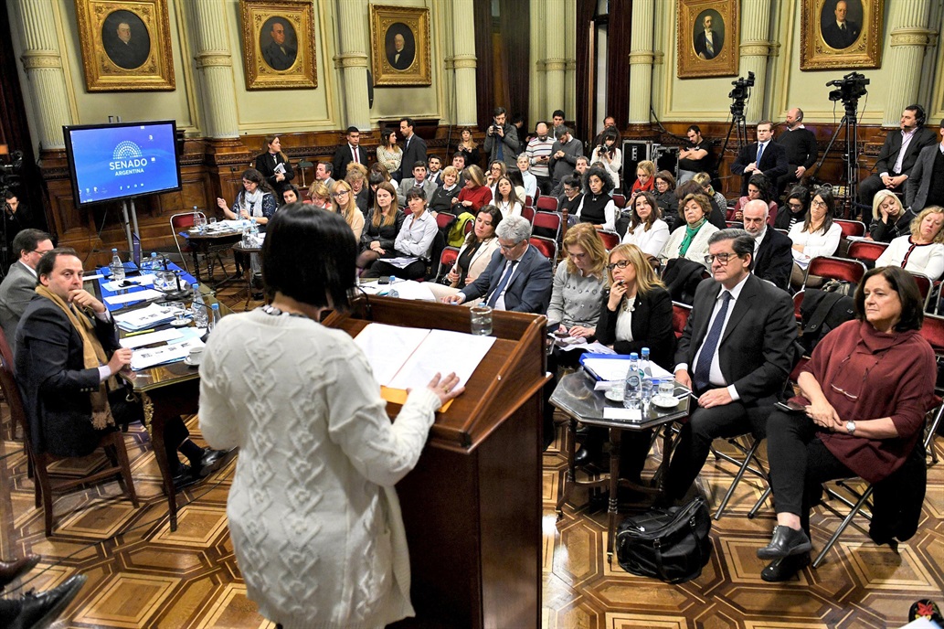 Se fortalece en el Senado el rechazo al aborto dos semanas antes de la votación