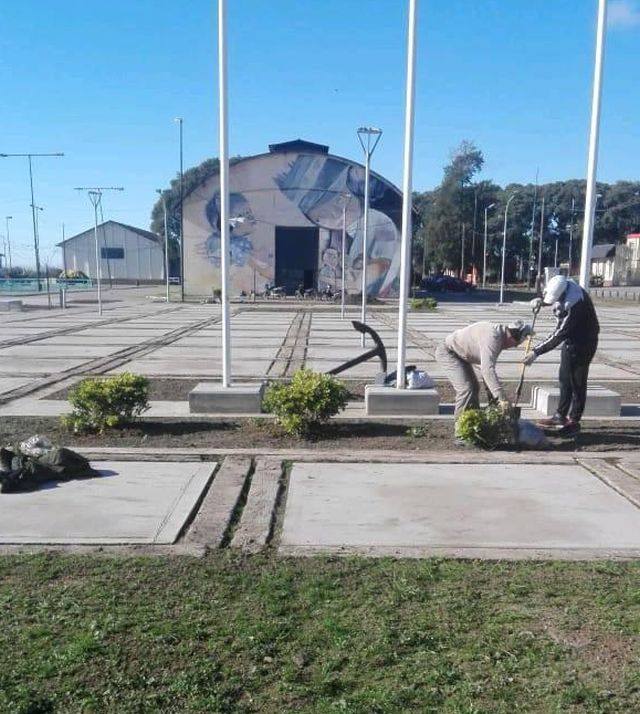 Plaza de la Prefectura Naval Parquización con azareros enanos