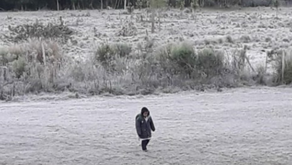 El camino de Axel: de la foto viral a la vida real