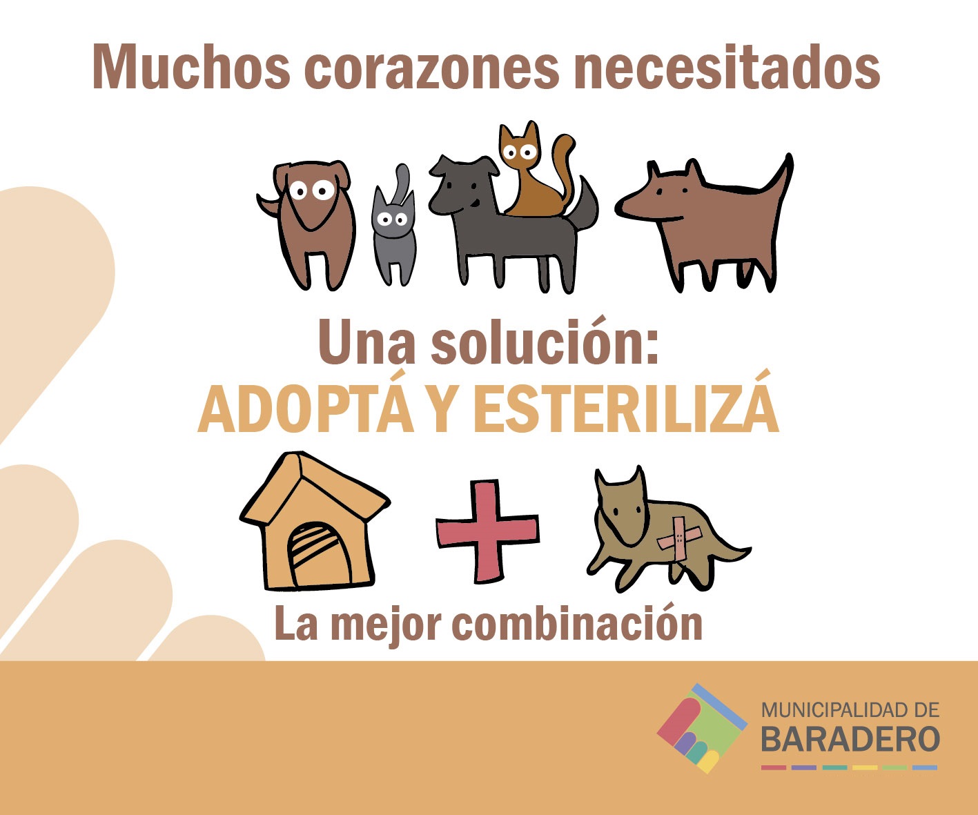 Campaña de esterilización y adopción de mascotas