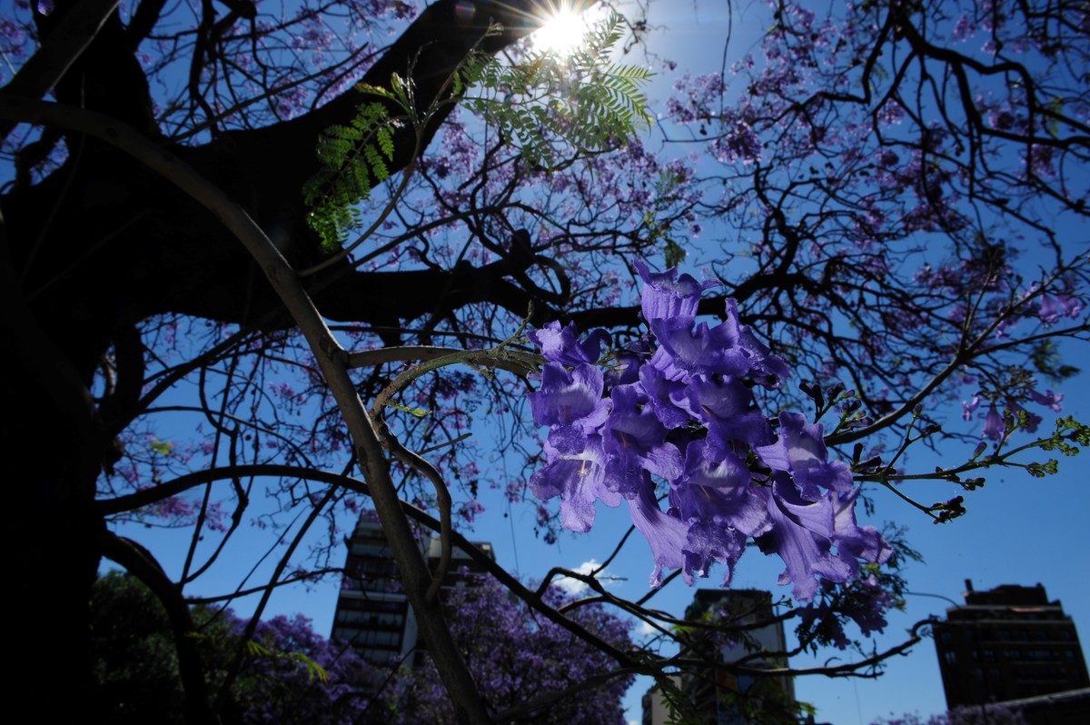 Primavera 2018: ¿Cuándo empieza realmente?
