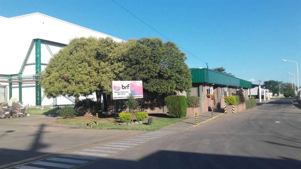 BRF vende Quickfood antes de fin de año