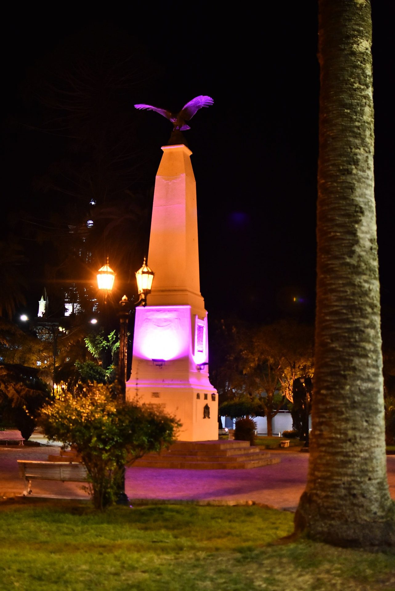 Octubre Rosa: Baradero se unió a la lucha contra el cáncer de mamas