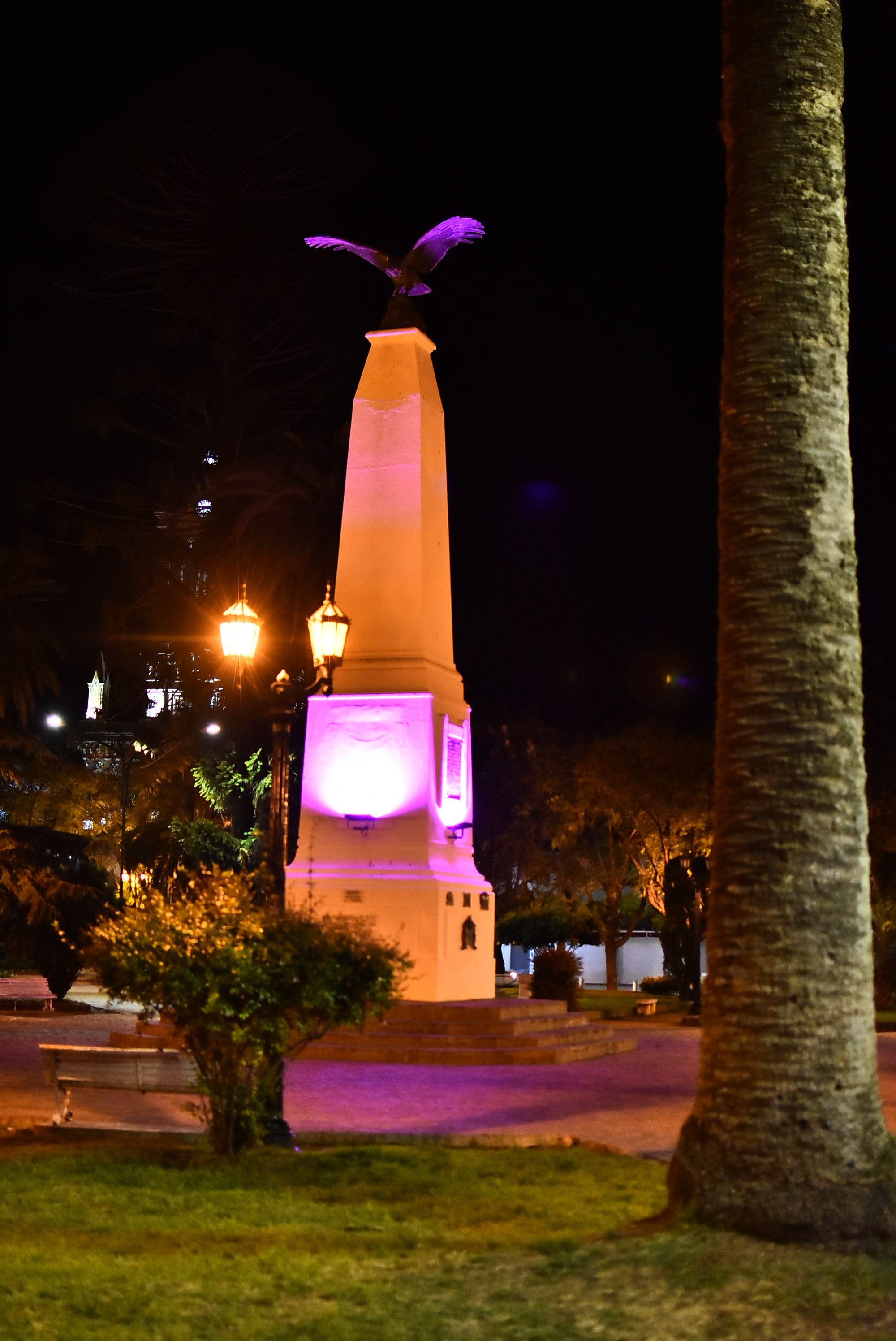 Octubre Rosa: Baradero se unió a la lucha contra el cáncer de mamas