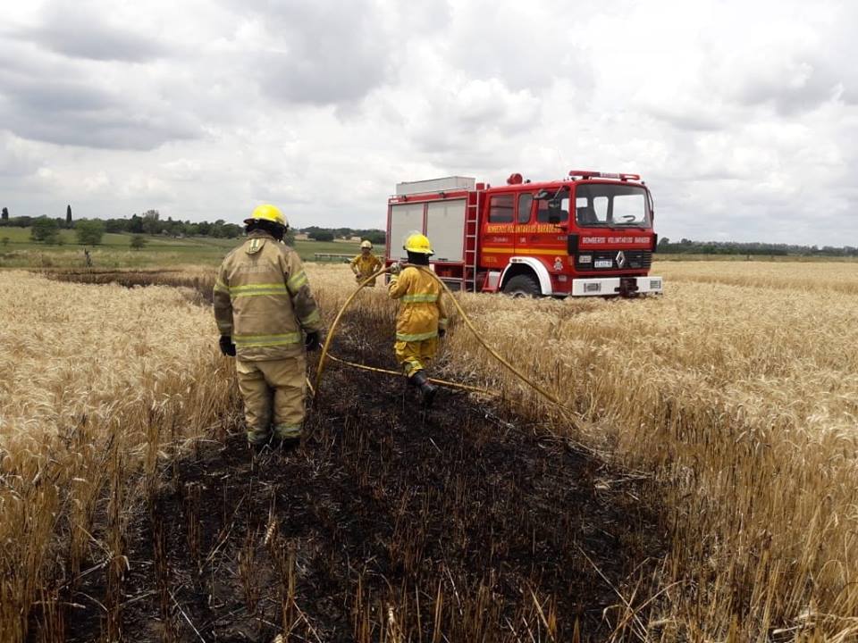 Incendio de un trigal en la Ruta N° 41
