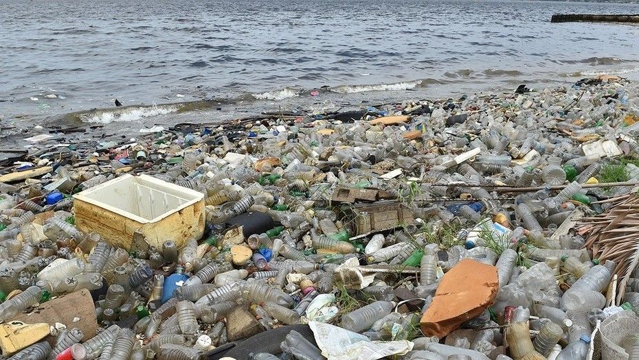 Plástico en el océano: una crisis tan grave como el cambio climático que va del mar al plato