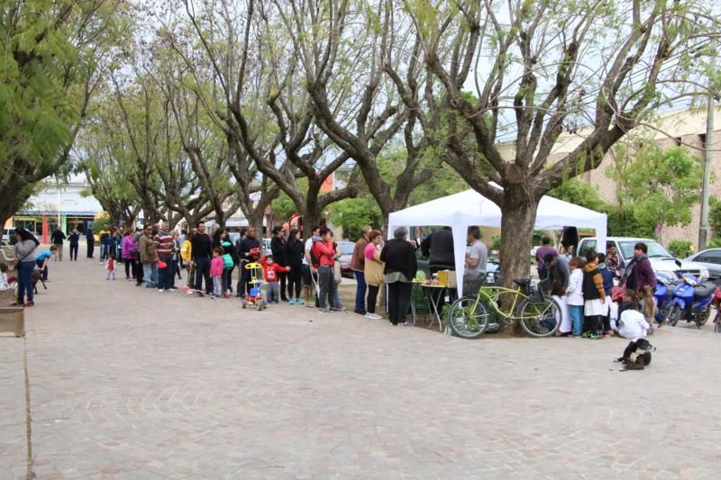Las bolsas saludables salieron como pan caliente
