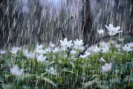 Lluvia caída en Baradero