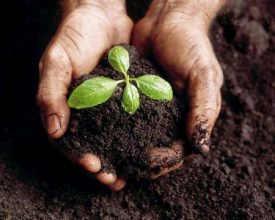 La Planta de Fertilizantes tiene aprobado el Impacto Ambiental para instalarse