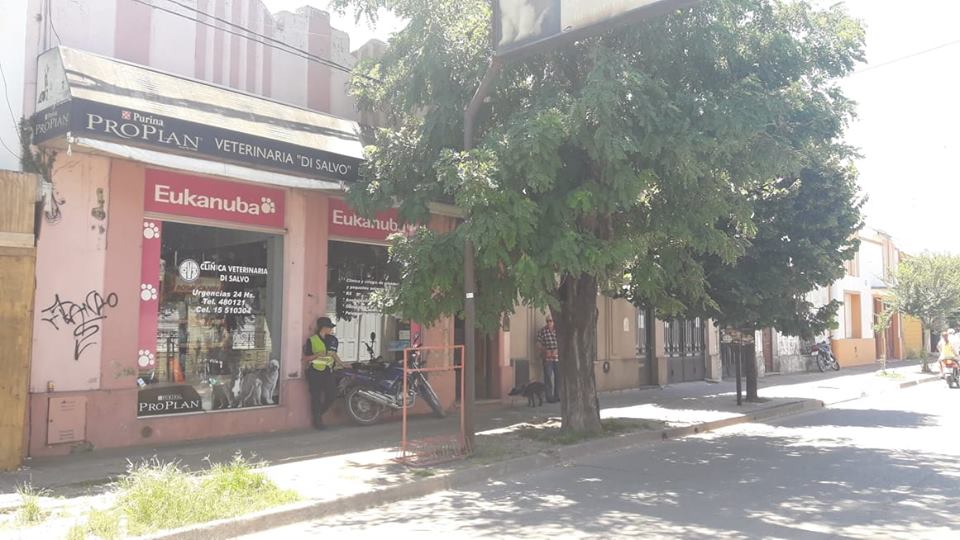 Robo en Veterinaria DI Salvo