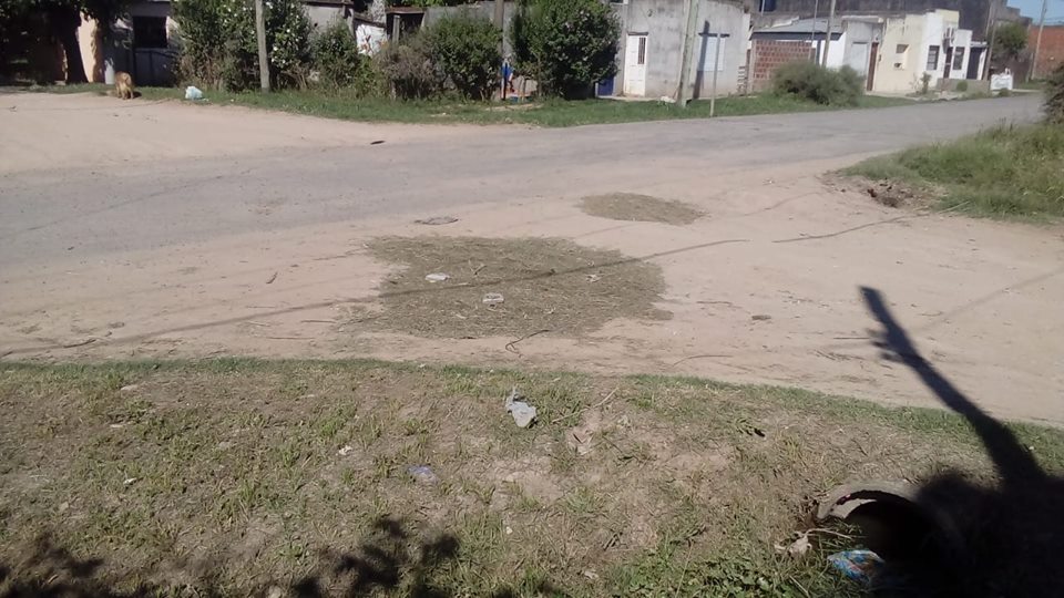 Vecinos rellenan baches… ¡con pasto!