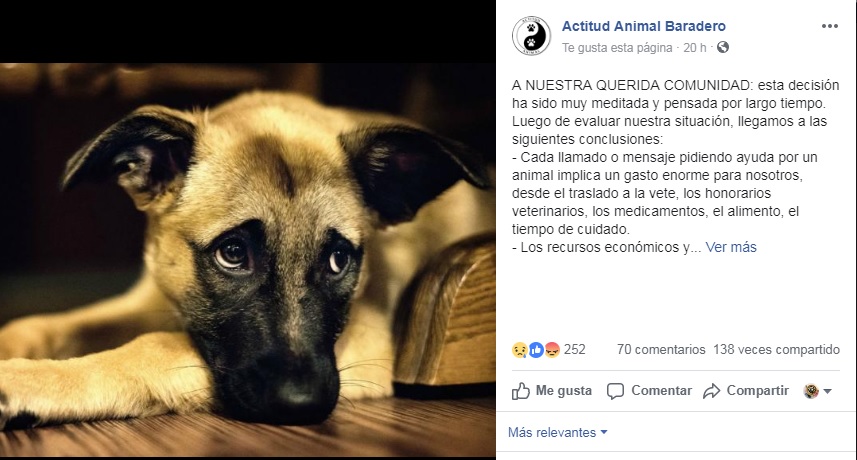 «No podemos más»: La ONG Actitud Animal anunció que no seguirá