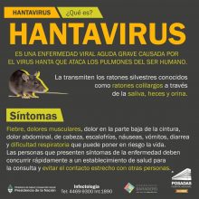 Hantavirus ¿cómo prevenirlo?