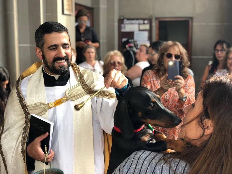 Se realizó ayer la bendición de las mascotas
