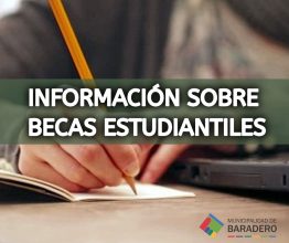Educación: Información sobre becas estudiantiles
