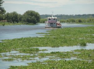 Prefectura Informa: Por la creciente, el río Baradero entró en etapa de alerta