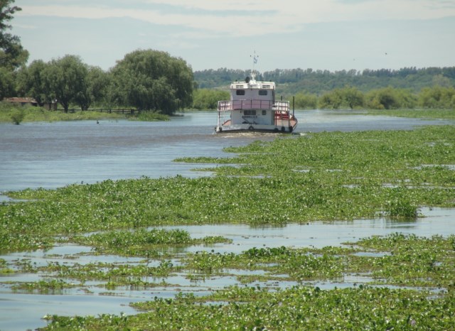 Prefectura Informa: Por la creciente, el río Baradero entró en etapa de alerta