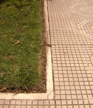 Recortaron pasto y follaje en la Plaza Colón