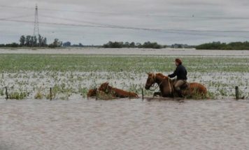 El agua que nos sobra, es el monte que nos falta