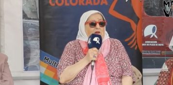 Denuncian a Hebe de Bonafini tras su pedido de probar las armas eléctricas con Antonia Macri y las hijas de María Eugenia Vidal