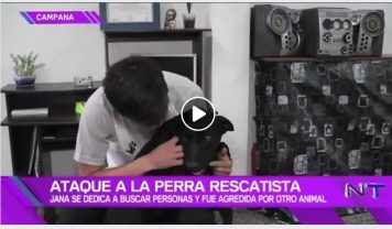 Perra Rescatista: La historia de Jana por el noticiero del trece
