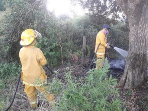 Bomberos: Desechos de agroquímicos en un incendio de pastizales