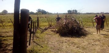 Nuevo caso de femicidio: la mató con un hacha, la ocultó en un campo y se entregó a la Policía