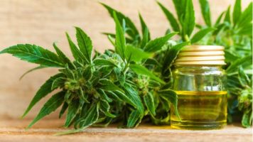 Autorizaron el primer centro de cannabis medicinal en el país