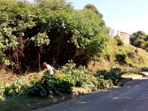 Tareas de mantenimiento en las calles de la ciudad