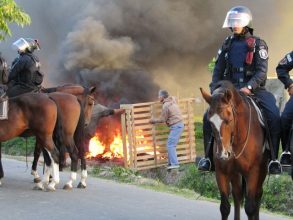 San Pedro: Desalojaron los terrenos usurpados en Dávila y Cruz Roja
