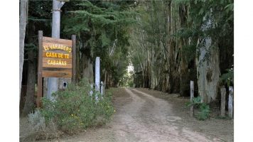 Denuncian otro robo en Colonia Suiza