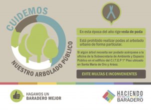 Veda de poda | ¡Cuidemos nuestro arbolado público!