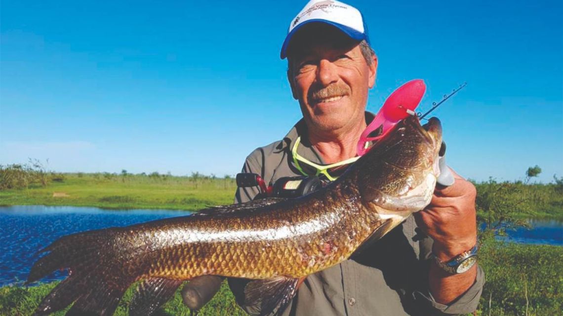 Revista Weekend: Tarariras y doradillos invaden Baradero
